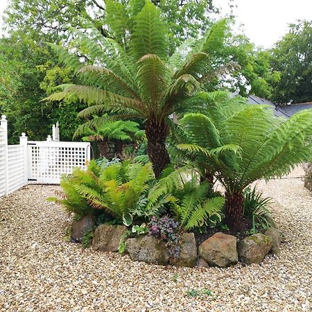Bed and Breakfast Pleasant Streams Barn St Austell Exteriér fotografie