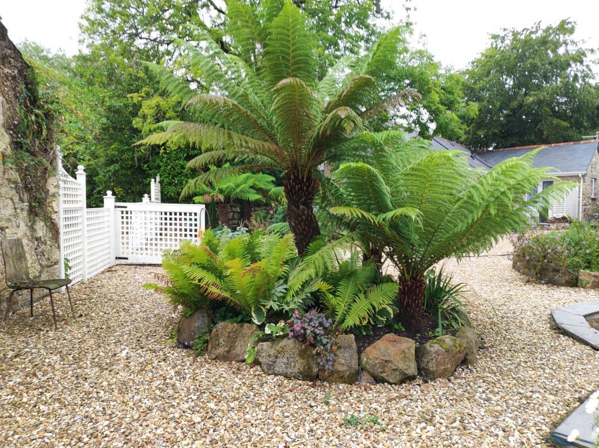 Bed and Breakfast Pleasant Streams Barn St Austell Exteriér fotografie